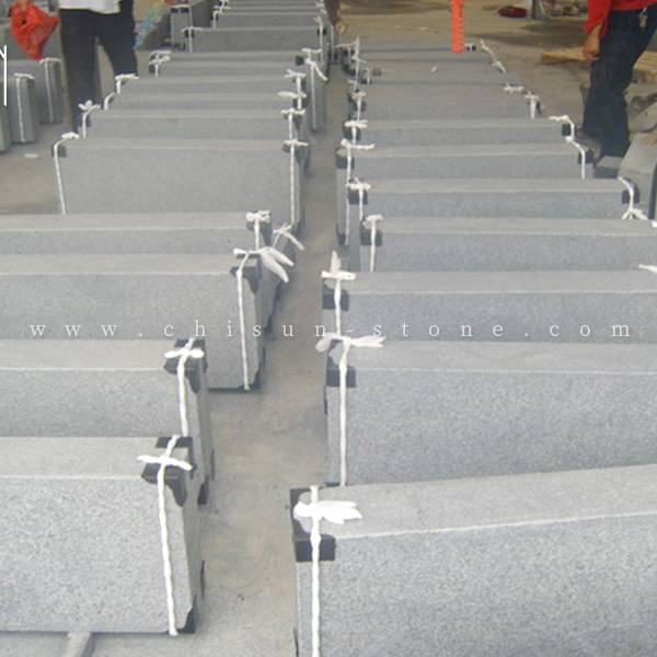 BLOCKSTEPS-G654