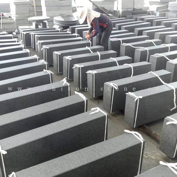 BLOCKSTEPS-G654