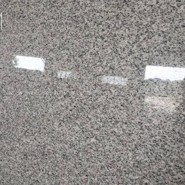 SLABS-G603