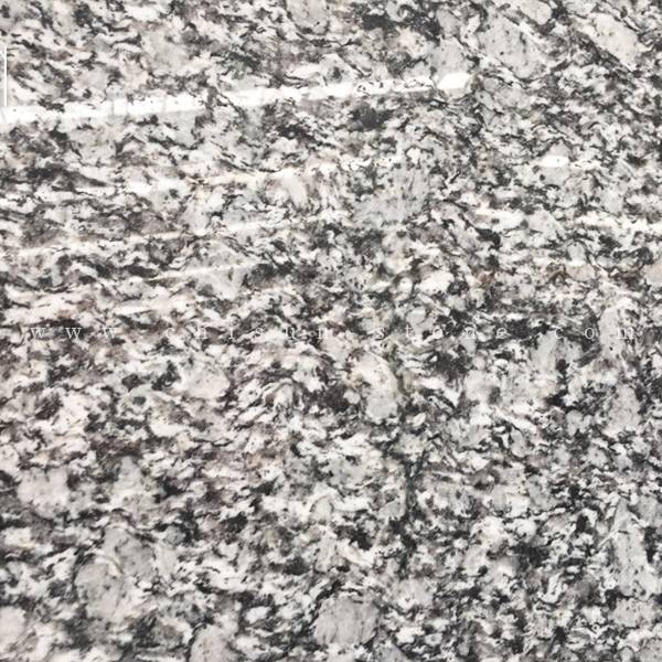 SLABS-wave white