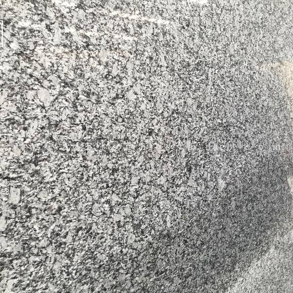 SLABS-wave white